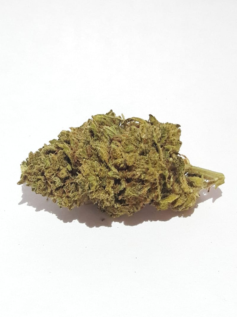 banana split strain scaled 1