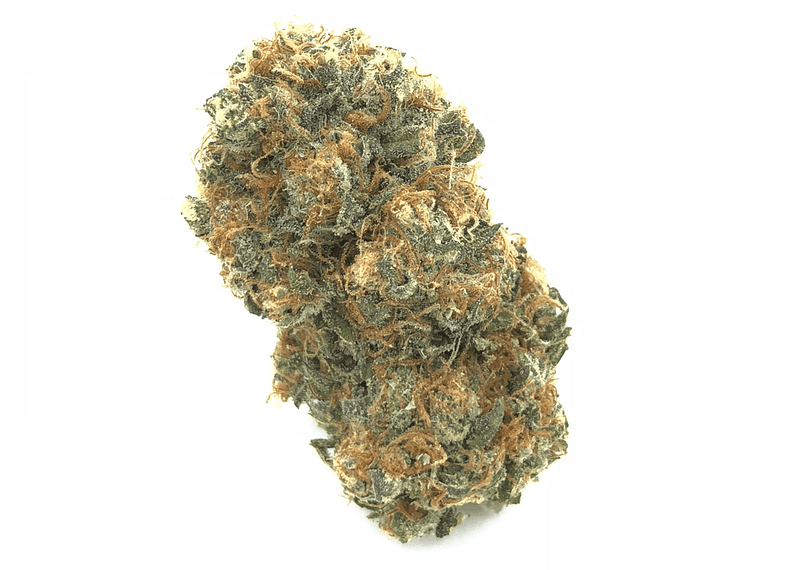 Biscotti Weed Strain